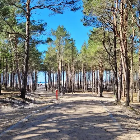 Sasinowe Zacisze Sasino